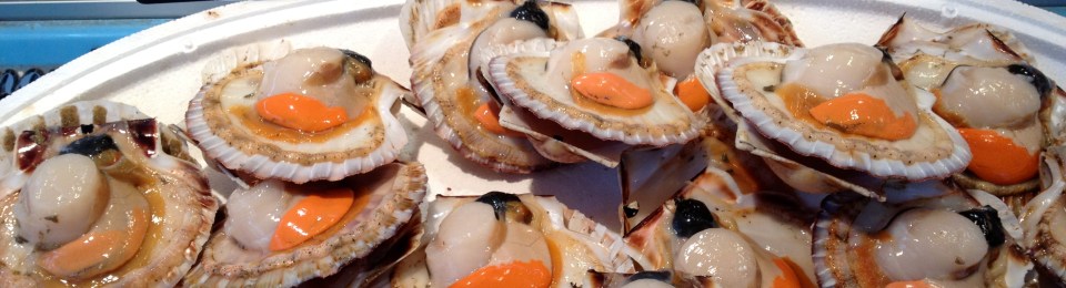 coquille st jacques