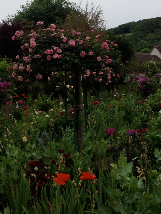 Flower Garden, Giverny