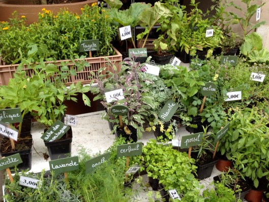 Herbs, Normandy market day
