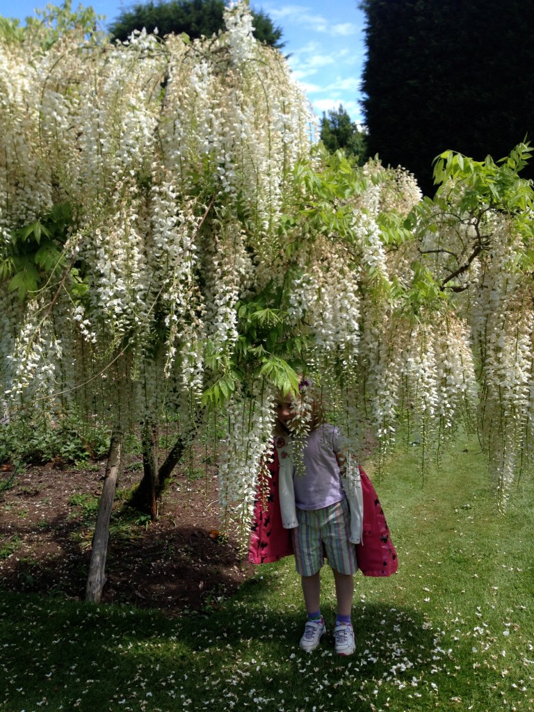 Honeysuckle, Les Bois Des Moutiers
